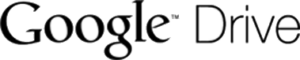 Google-Drive Logo